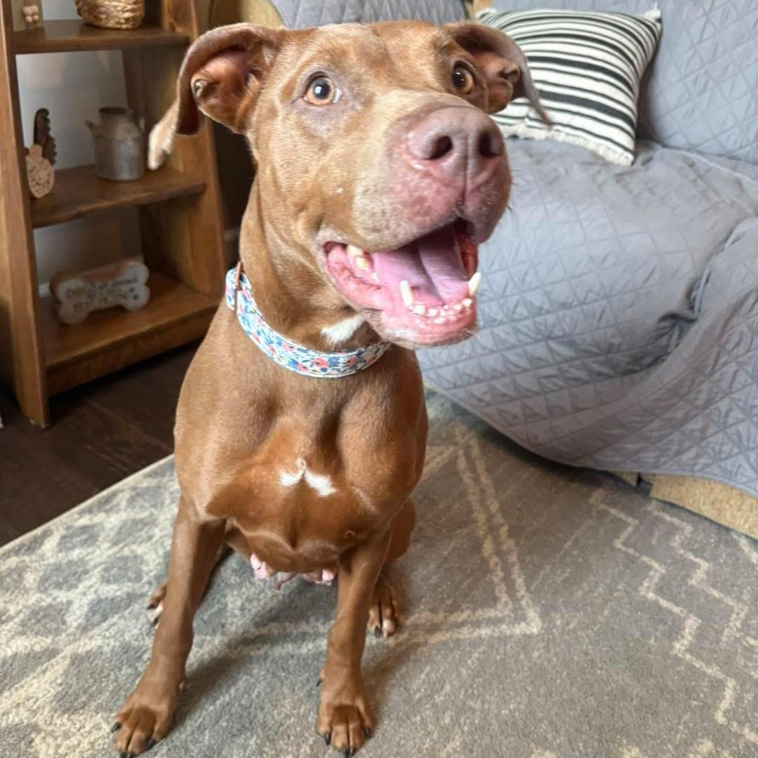 Zoey