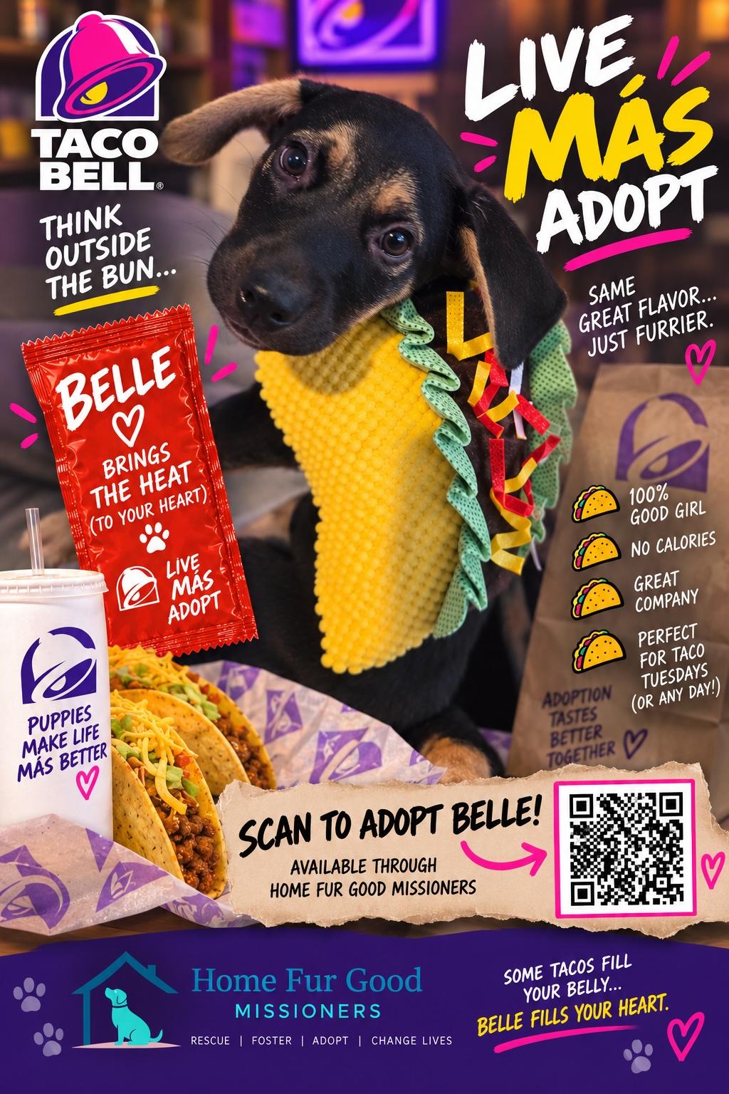 Enlarge Belle, a Adoptable mixed breed in Marietta, GA image 5/5