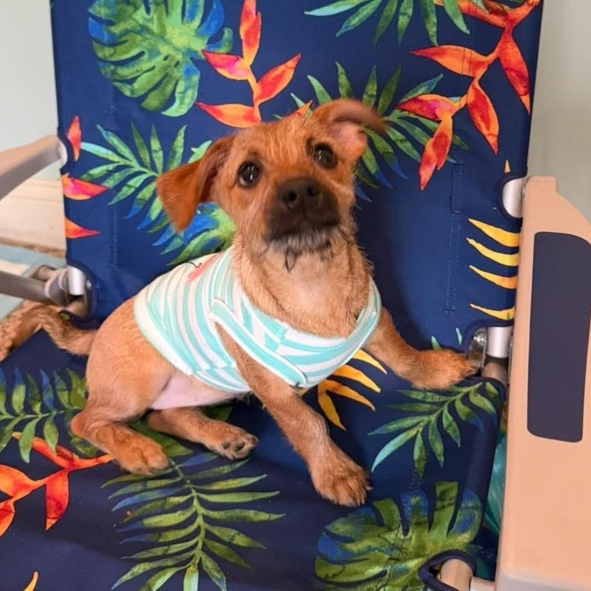 April - in foster home