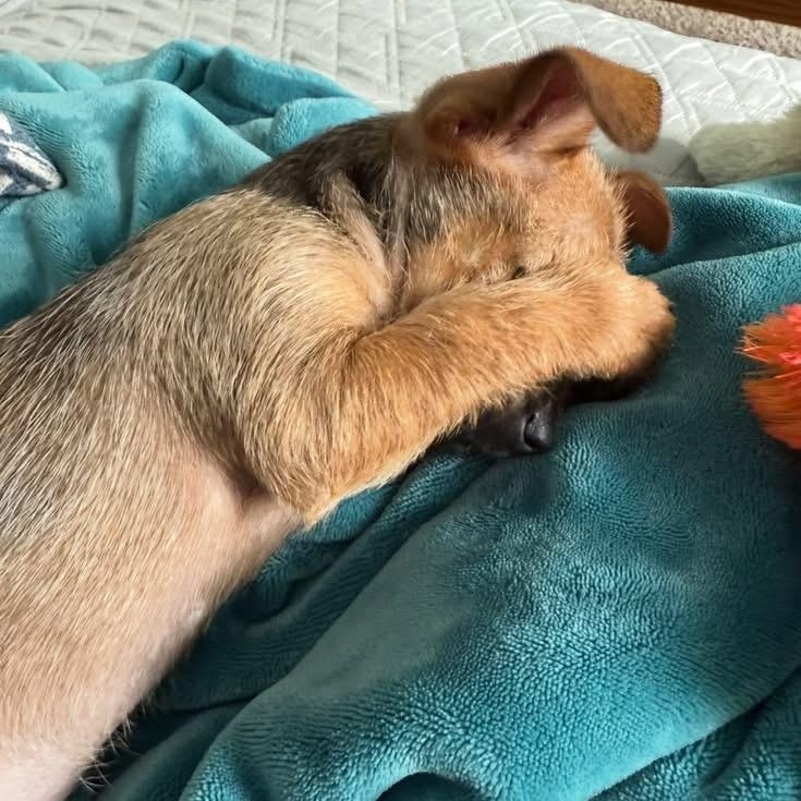 April - in foster home