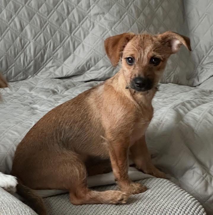 April - in foster home