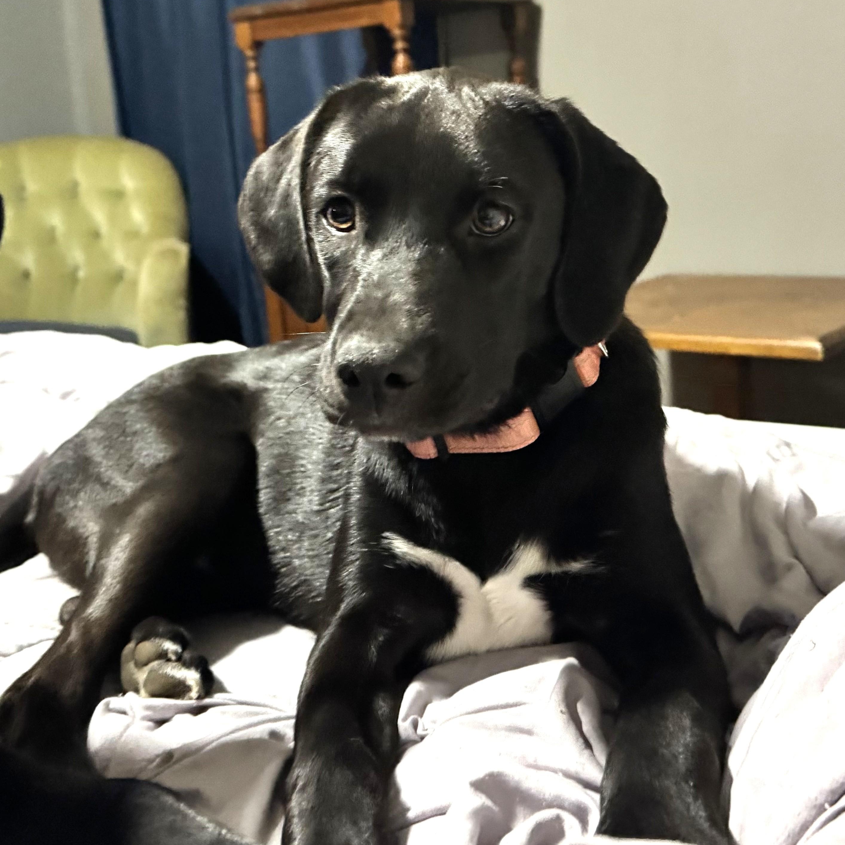 Penelope photo 2