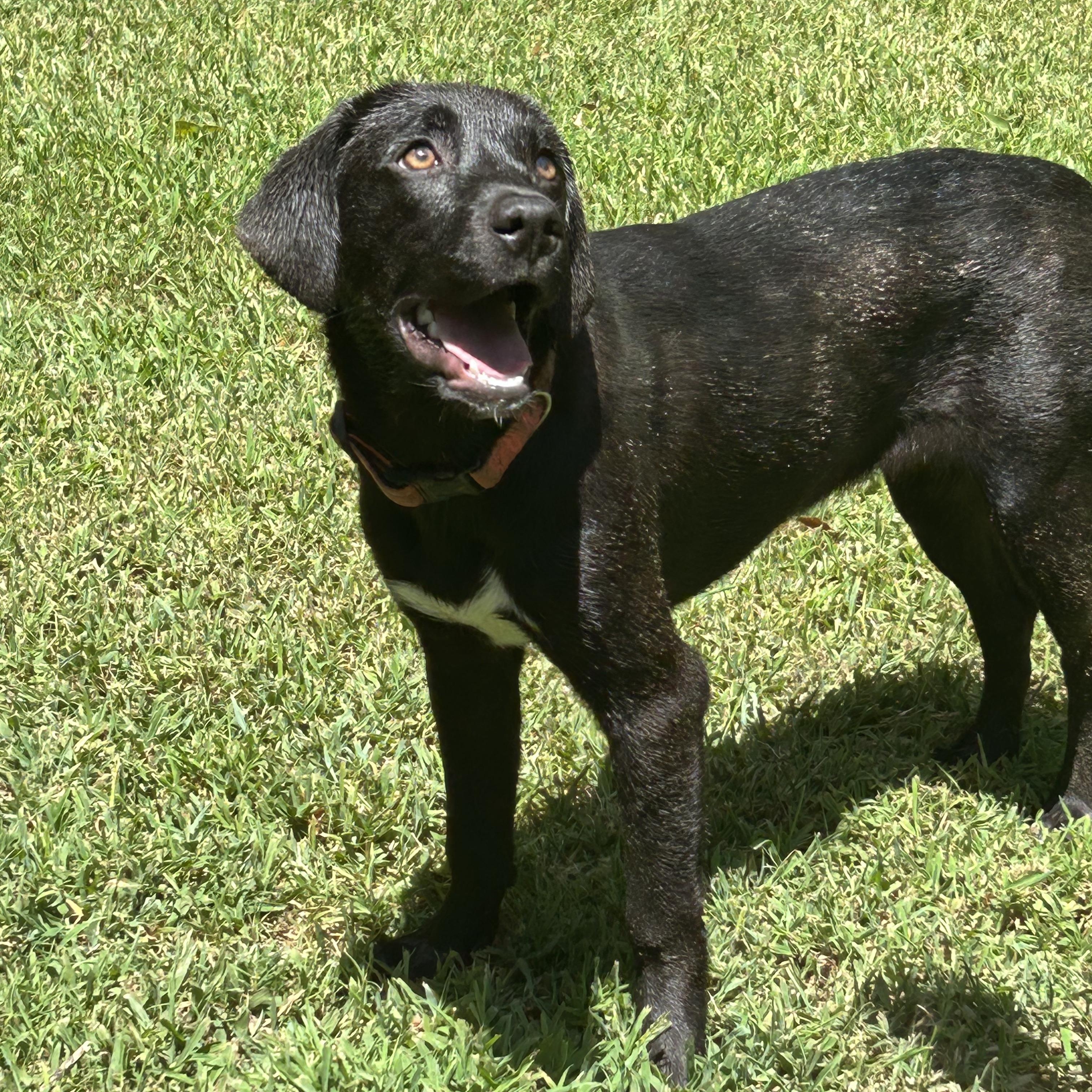Penelope photo 1