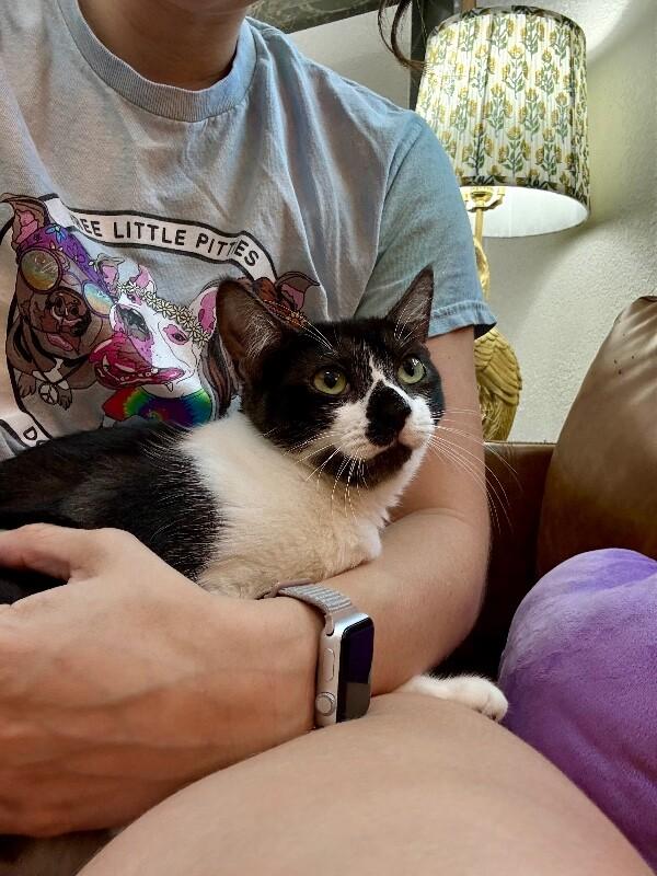 Lily Langtry — thumbnail 2