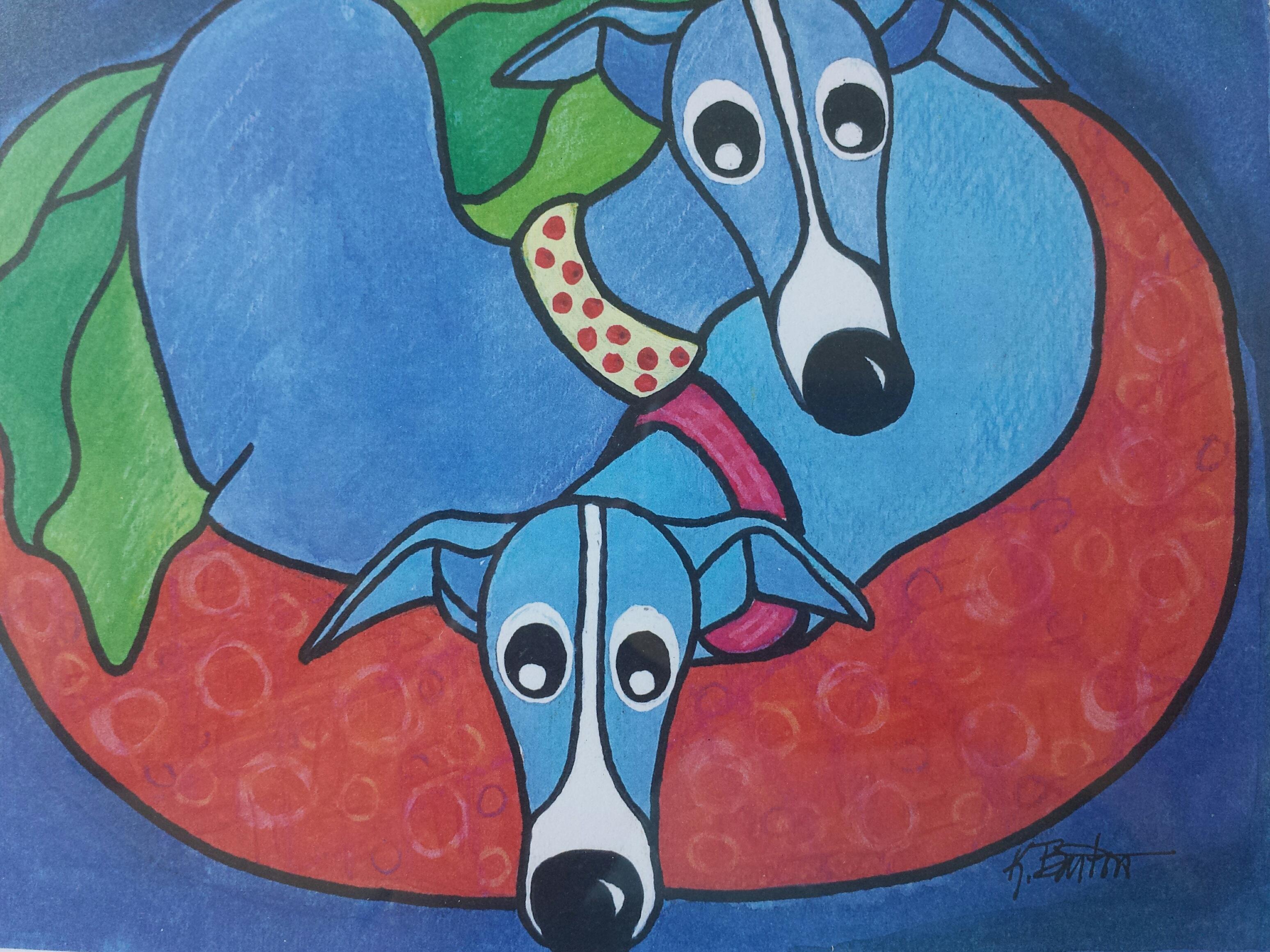 No Dogs Available at this time please check back, adoptable, Adult Male Italian Greyhound.
