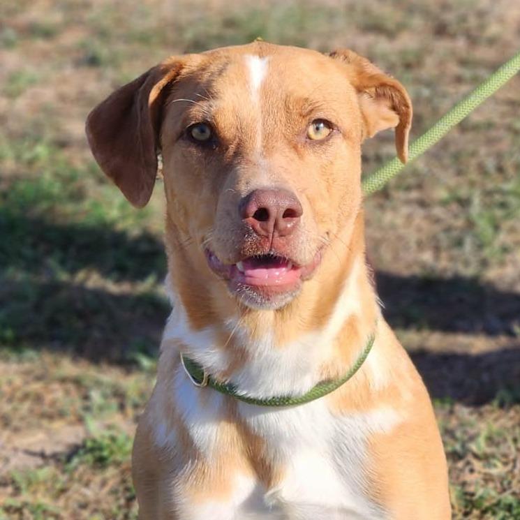 Hazel JuM — thumbnail 2