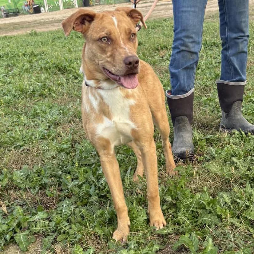 Hazel JuM — thumbnail 3