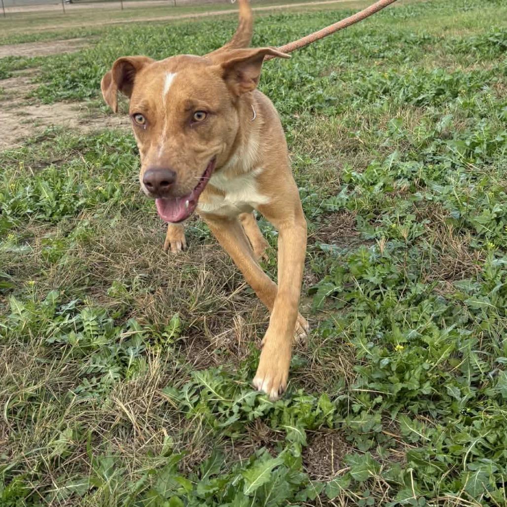 Hazel JuM — thumbnail 4