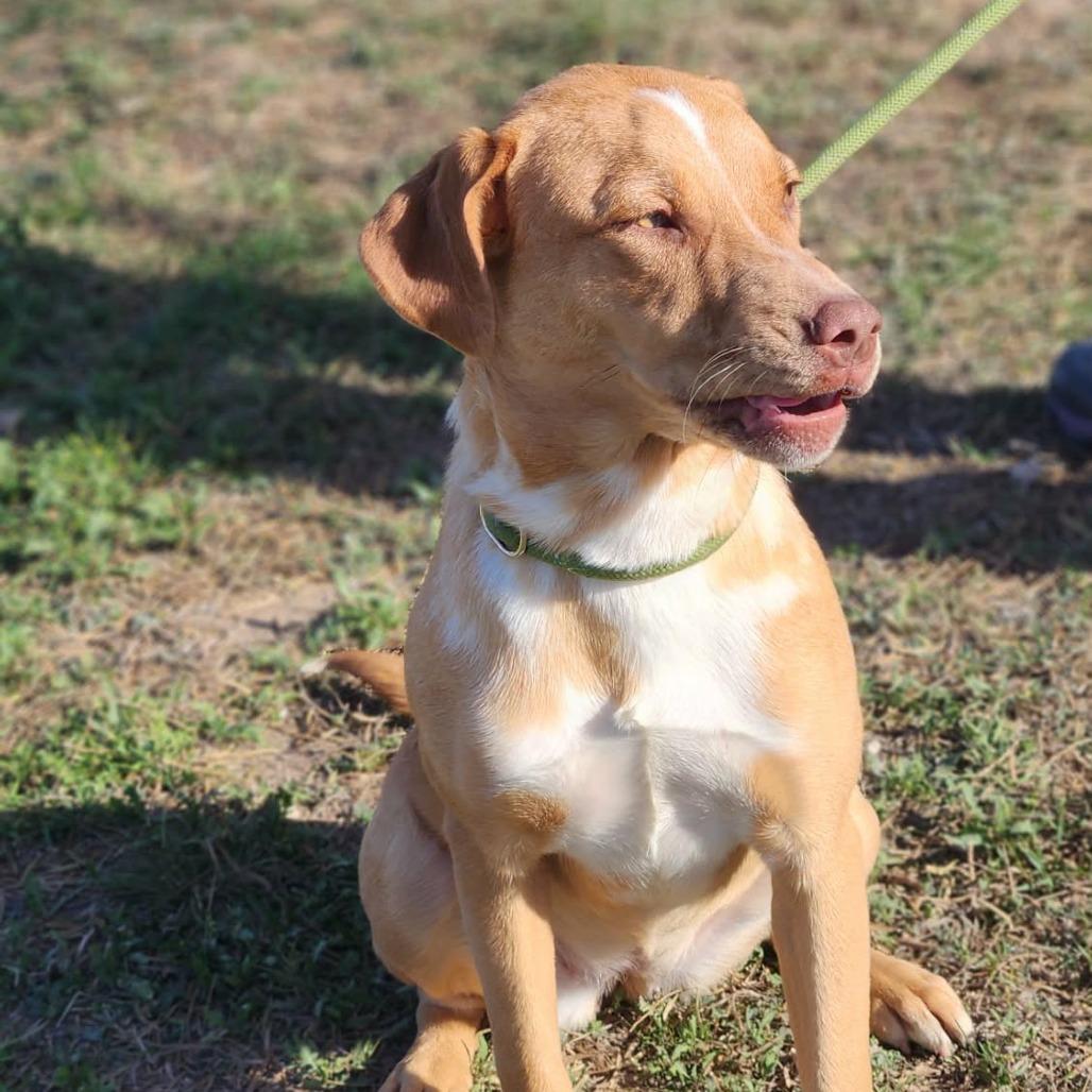 Hazel JuM — thumbnail 6