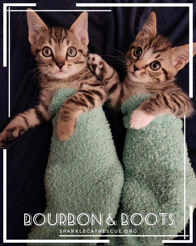 Boots  I Have thumbnail 3