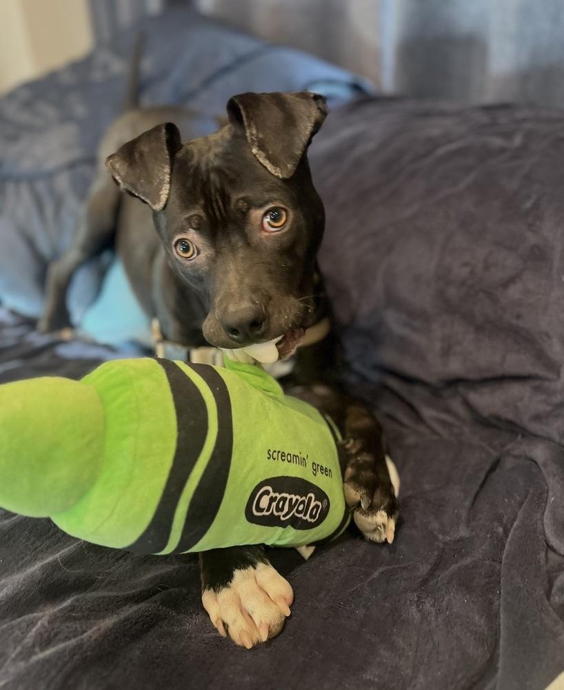 Leah — thumbnail 2