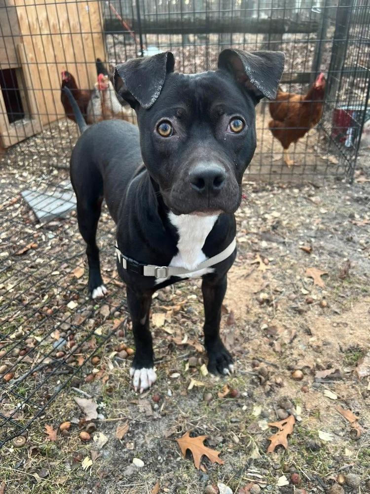 Leah — thumbnail 3