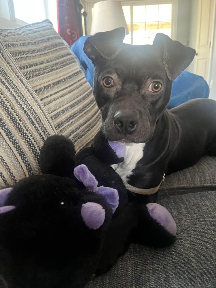 Leah — thumbnail 6