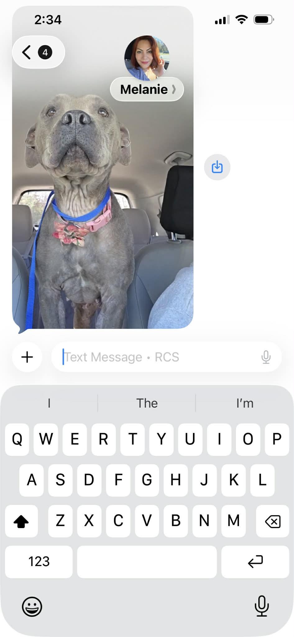 Enlarge Sadie, a ADOPTABLE Pit Bull Terrier in Deltona, FL image 3/4