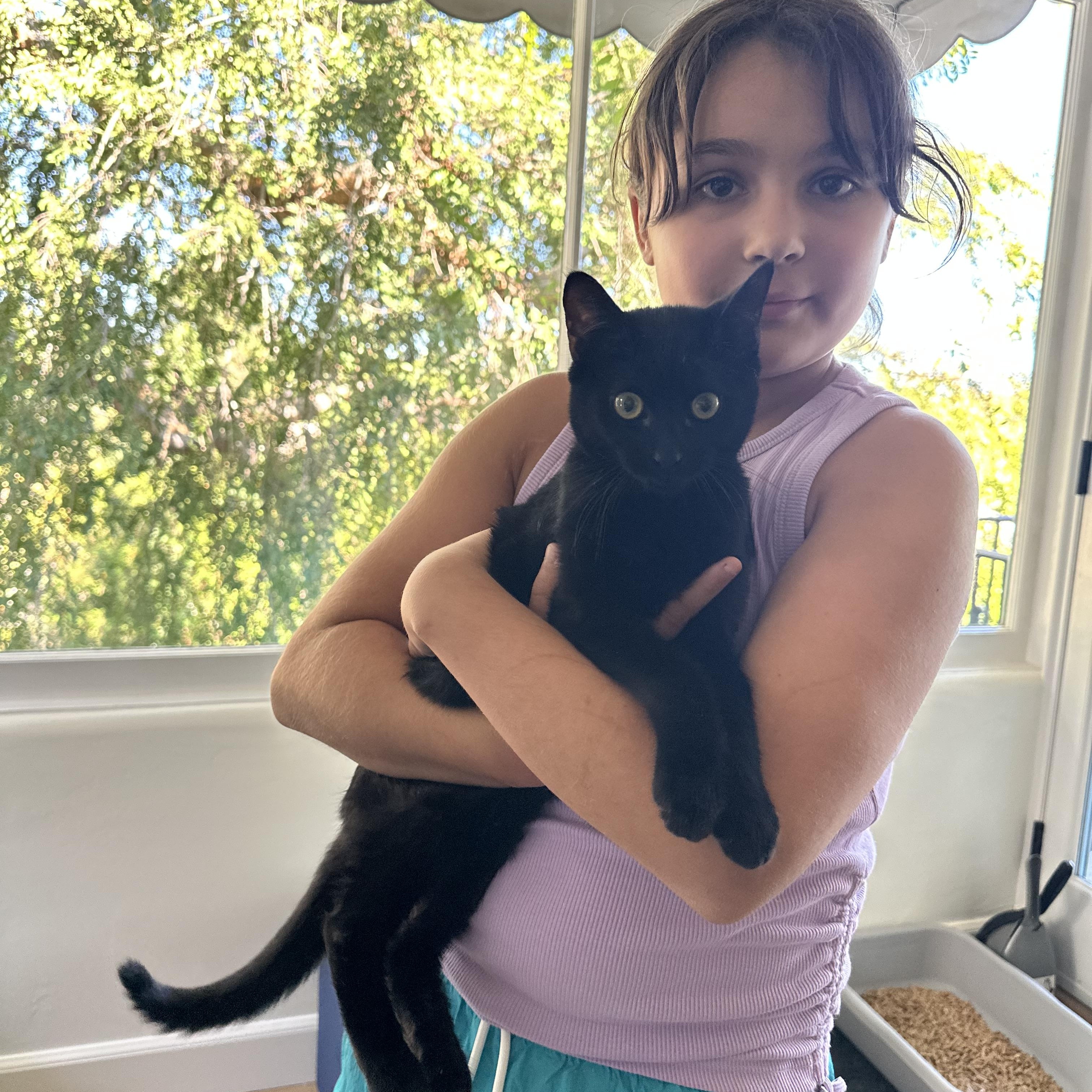 Enlarge Ozzy, a Adoptable mixed breed in Woodland Hills, CA image 6/6