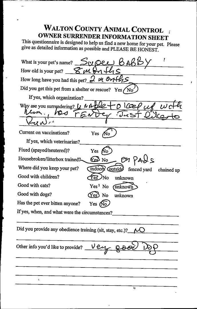 Enlarge Baby Girl #21695, a ADOPTABLE mixed breed in Monroe, GA image 2/2