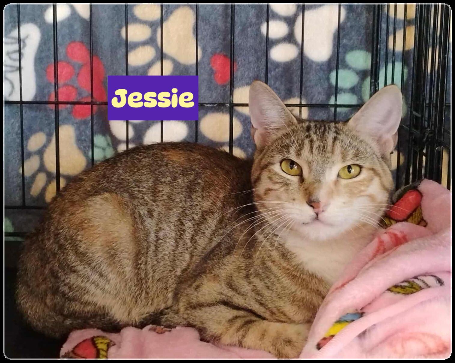 Jessie (F) & Wyatt (M) adopted