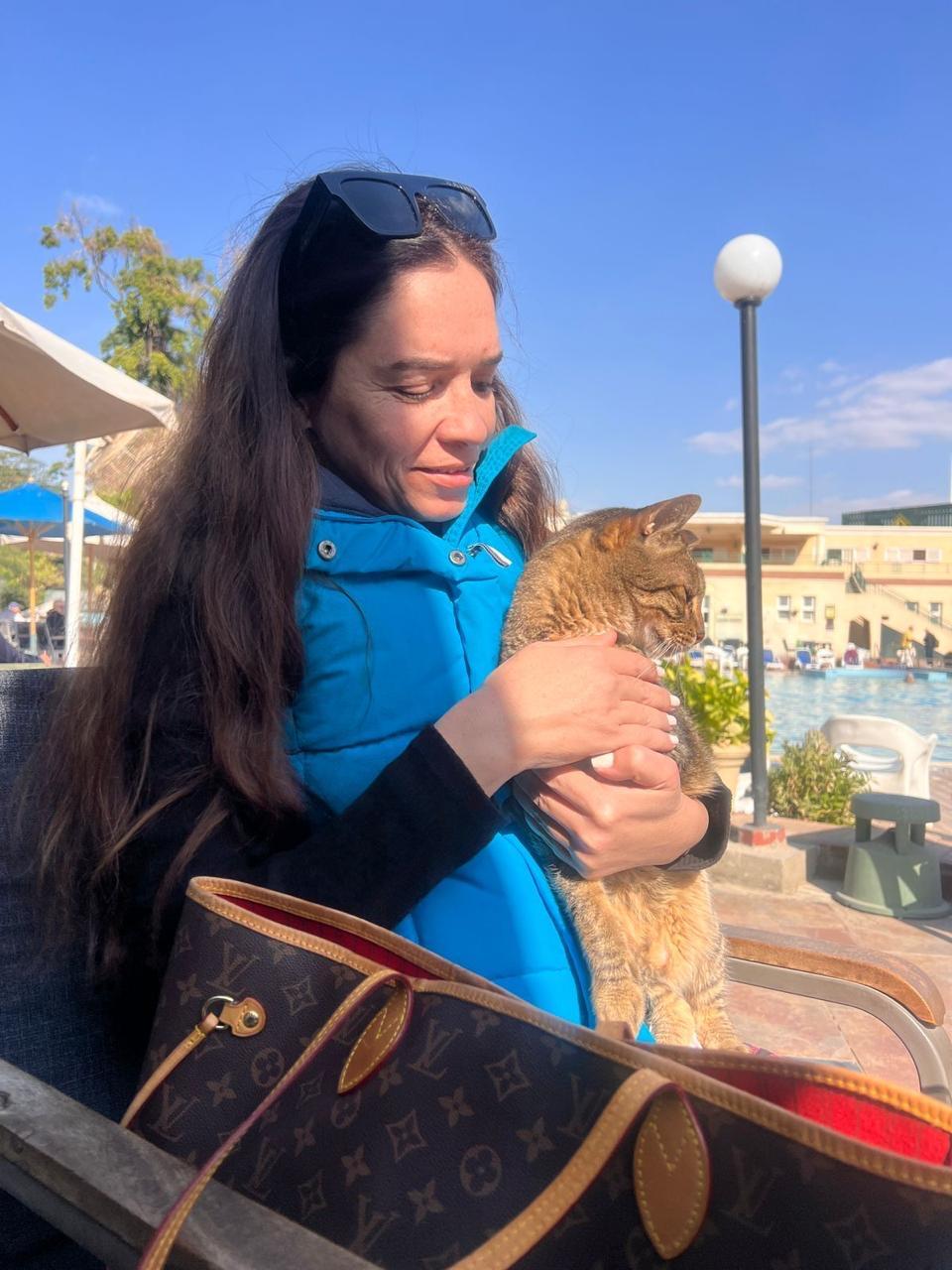 Enlarge BALOUZA - Senior, a Adoptable Egyptian Mau in Brampton, ON image 1/6