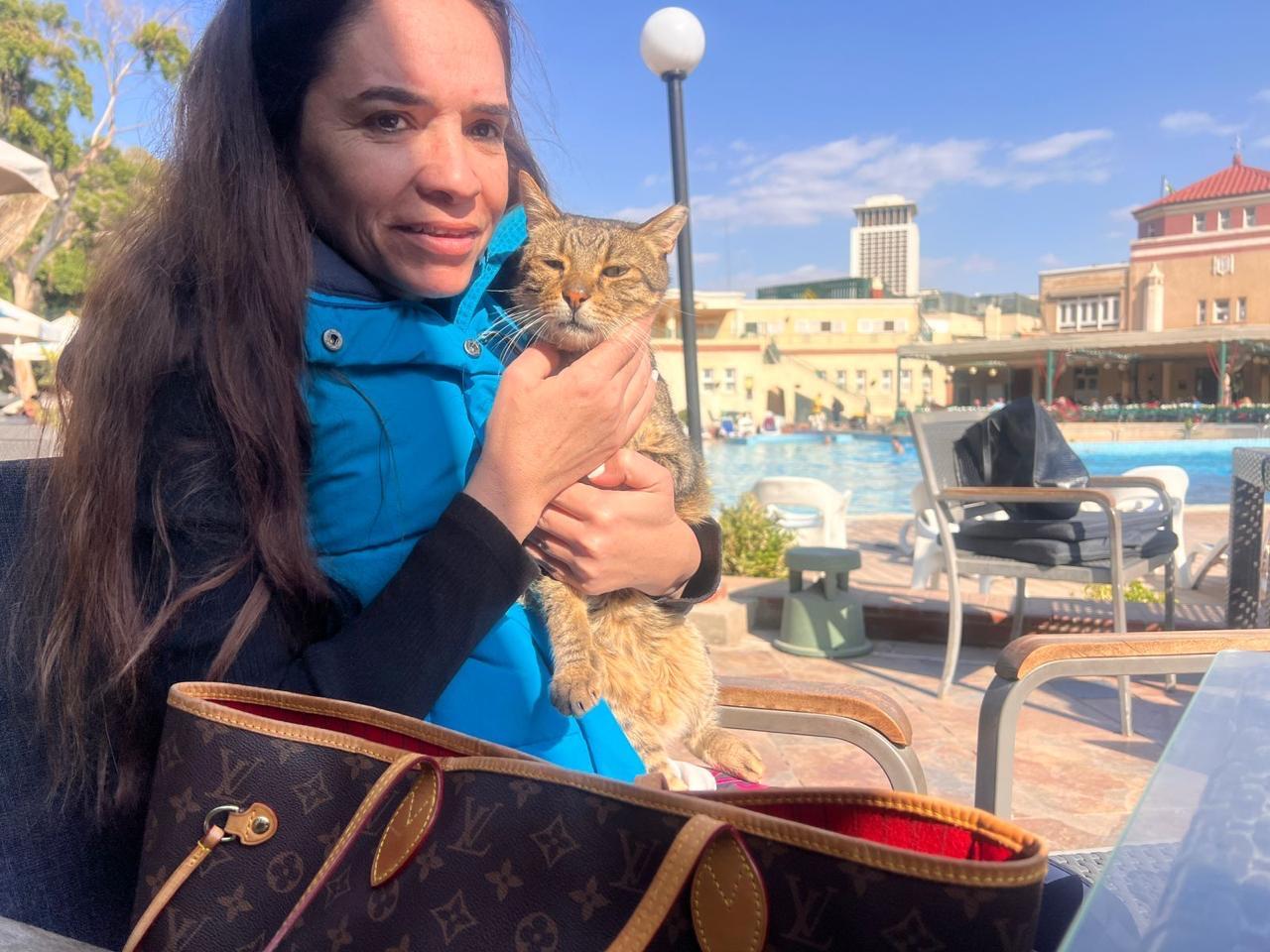 Enlarge BALOUZA - Senior, a Adoptable Egyptian Mau in Brampton, ON image 6/6