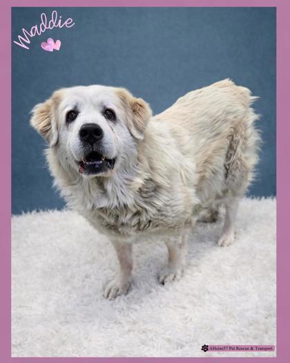 Maddie — thumbnail 2