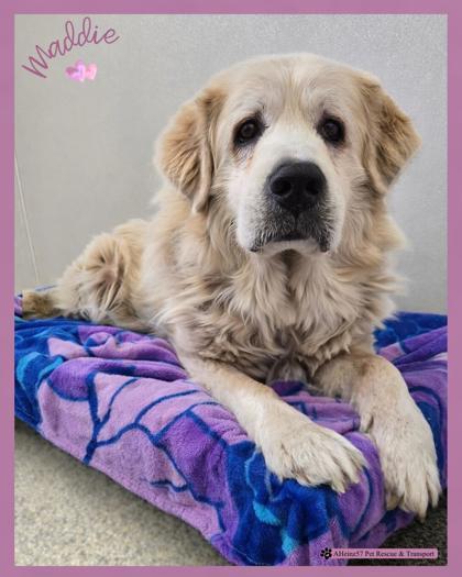 Maddie — thumbnail 3