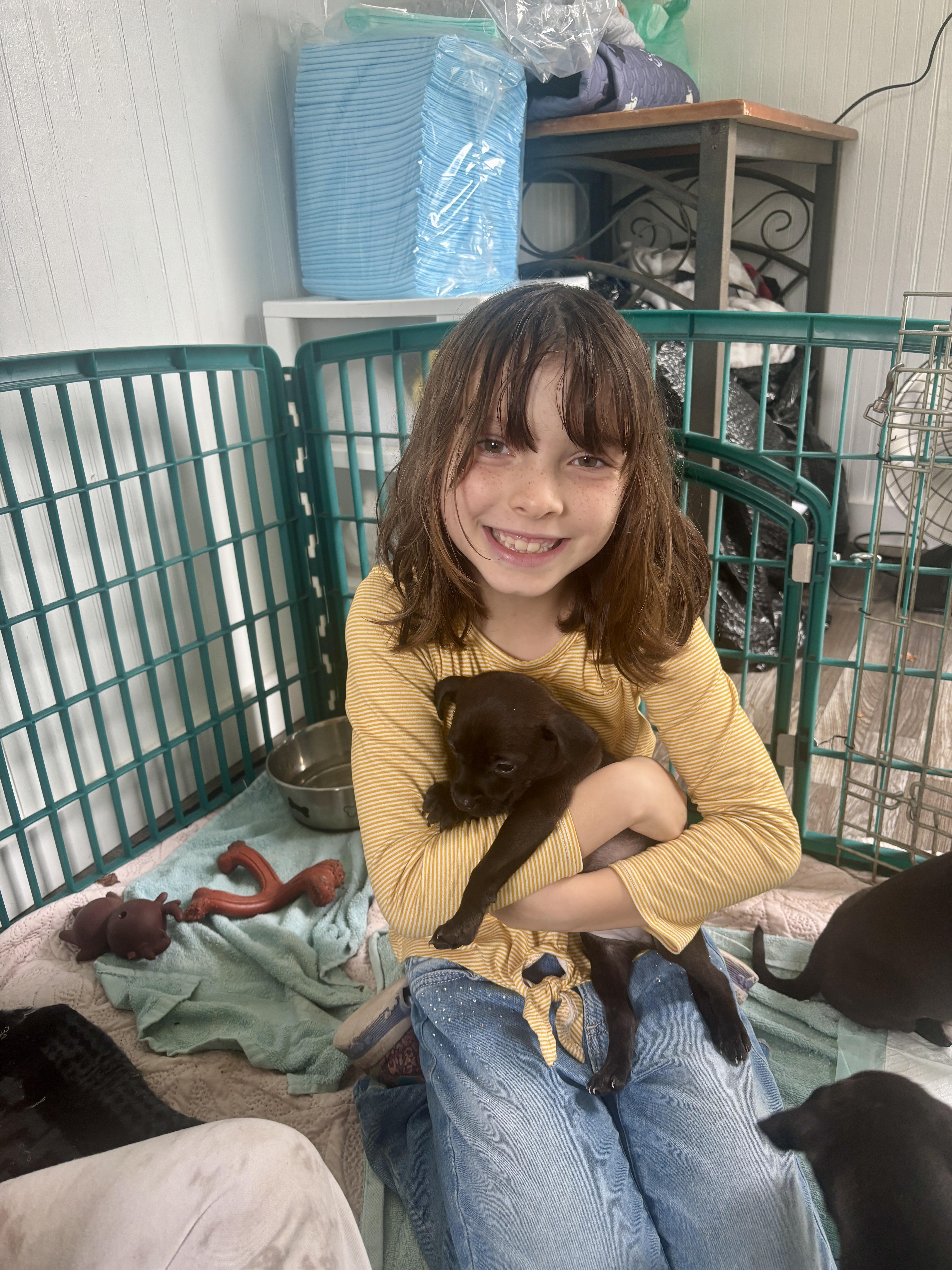 Enlarge Eddie, a Adoptable mixed breed in North Charleston, SC image 4/5