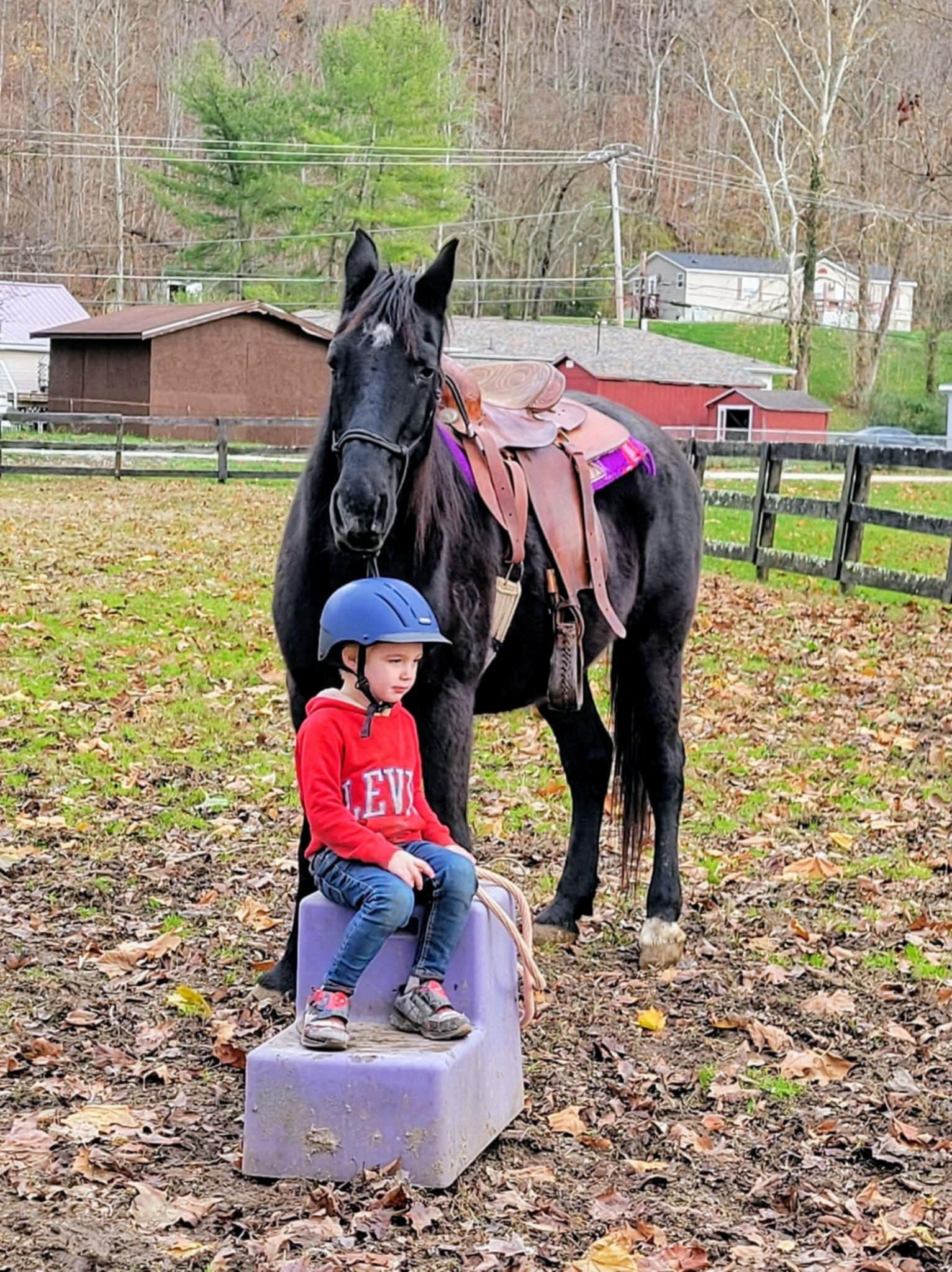 Enlarge Eve, a Adoptable Tennessee Walker in Huntington, WV image 2/5