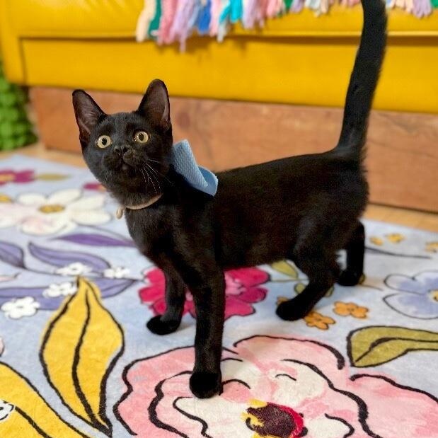 Larry Lopez thumbnail 2