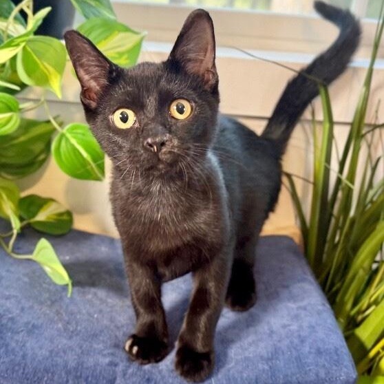 Larry Lopez thumbnail 5