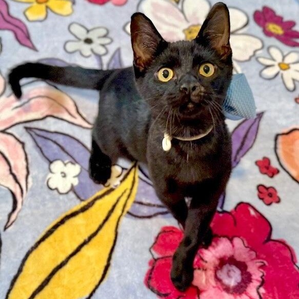 Larry Lopez thumbnail 6