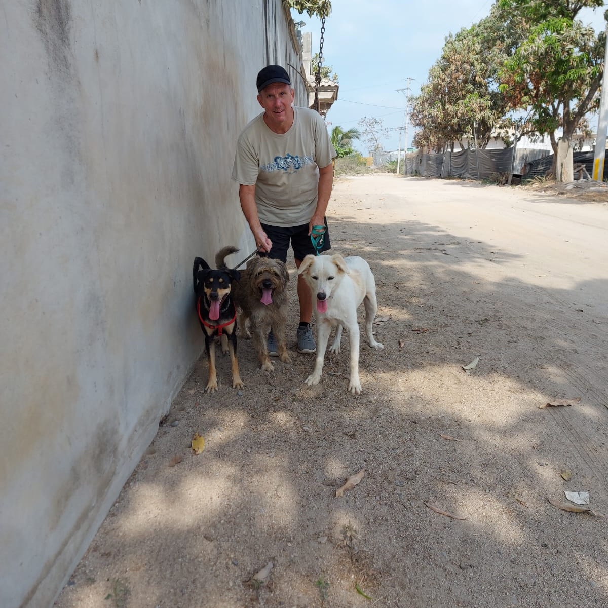 Negrita, a Adoptable Mixed Breed in Las Jarretaderas, NAY image 5/5