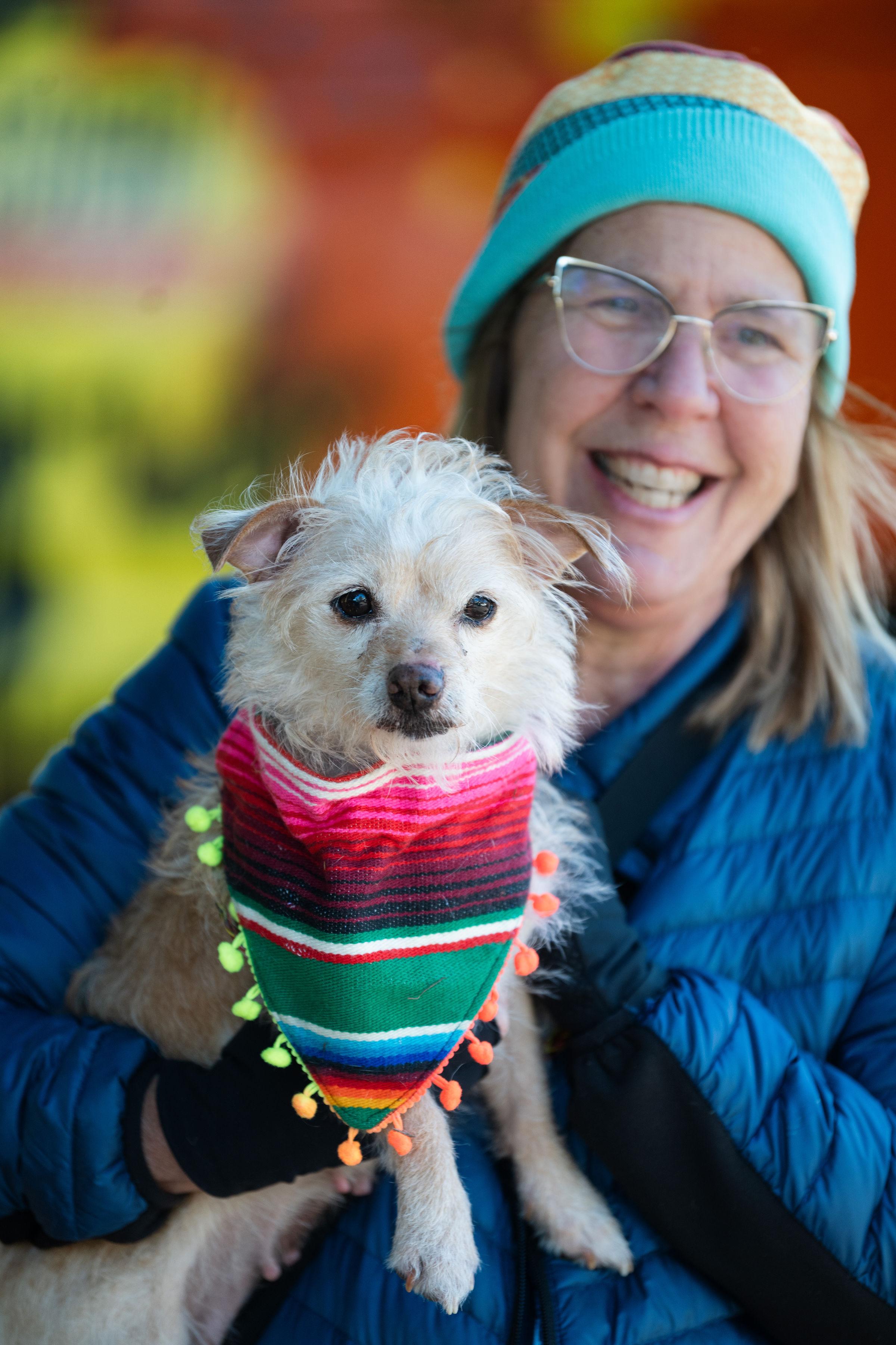 Enlarge Mango, a ADOPTABLE mixed breed in Santa Rosa, CA image 3/3