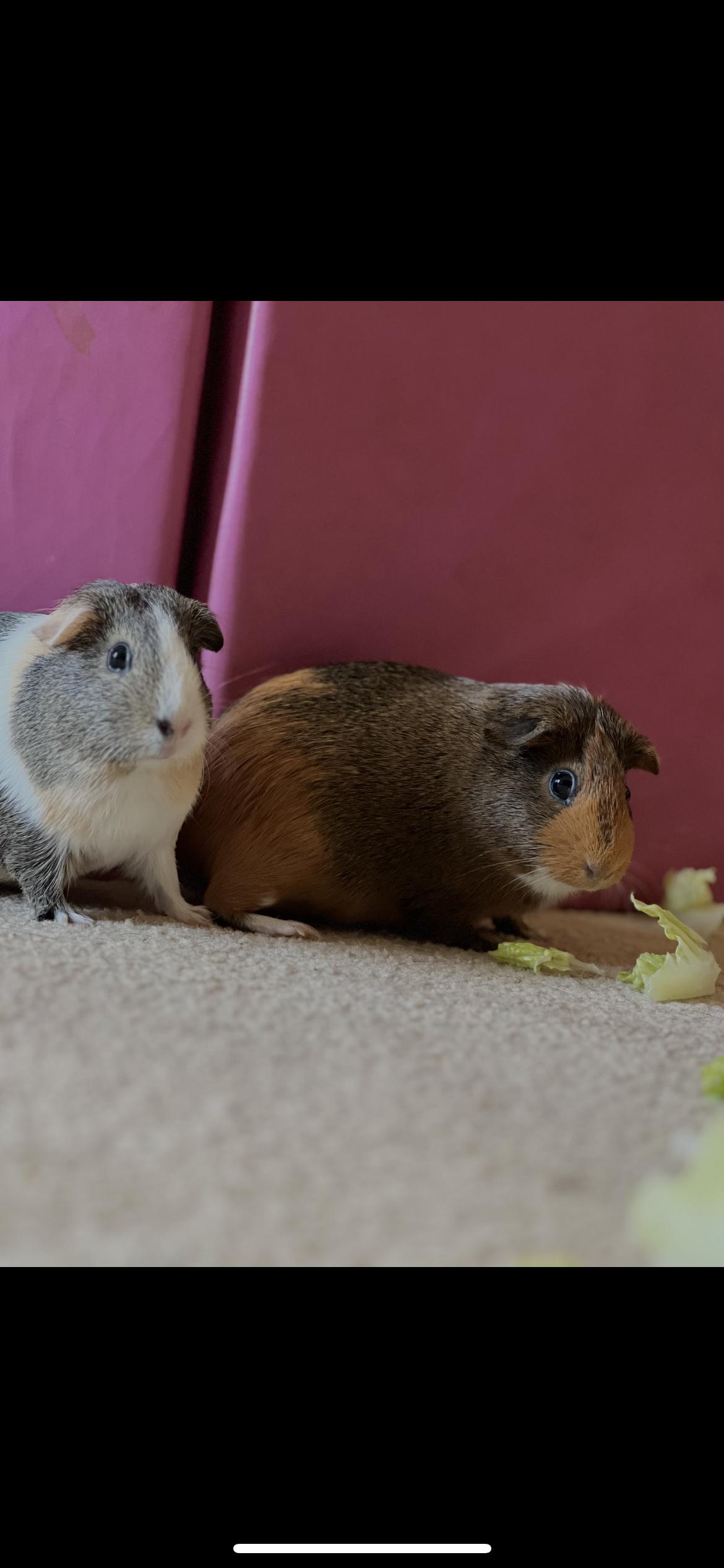 Lou and Lilah