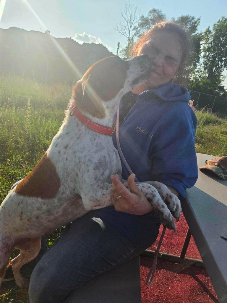 Enlarge Detroit, a Adoptable mixed breed in Warren, MI image 2/5