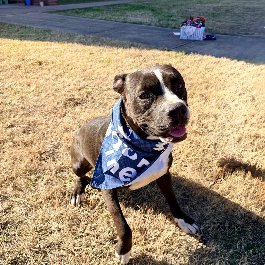 Coast — thumbnail 5