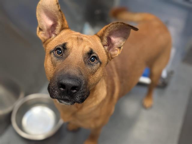 CHURROMAIS — thumbnail 2