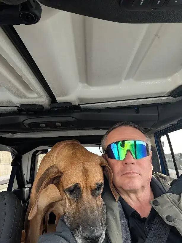 Enlarge Freya, a Adoptable mixed breed in Oswego, IL image 2/6