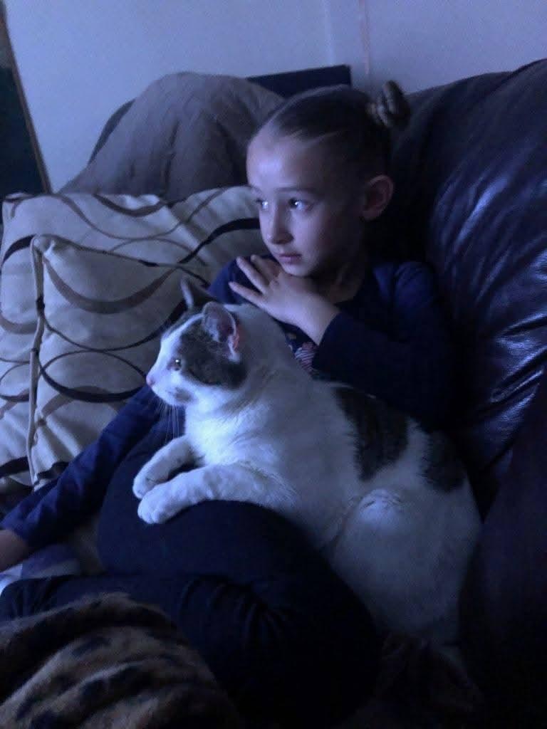 Meeko, a Adoptable mixed breed in Miami, OK image 4/6