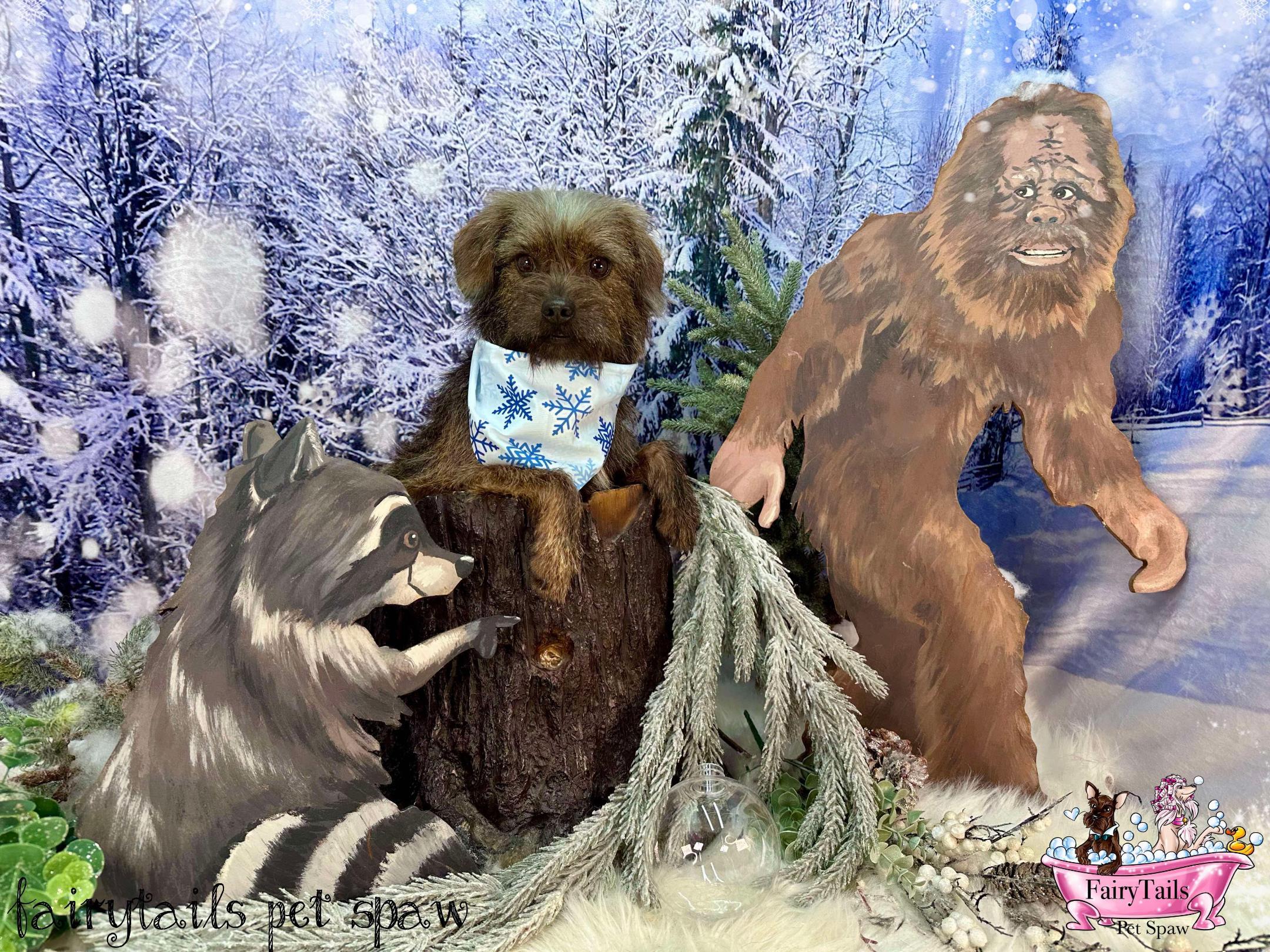 Henry, a Adoptable mixed breed in Winchester, KY image 3/4