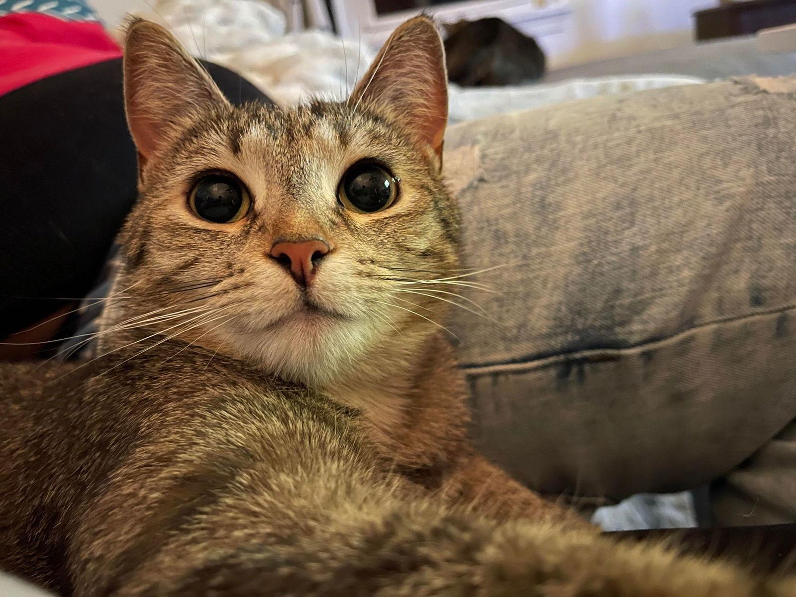 Eleanor — thumbnail 2