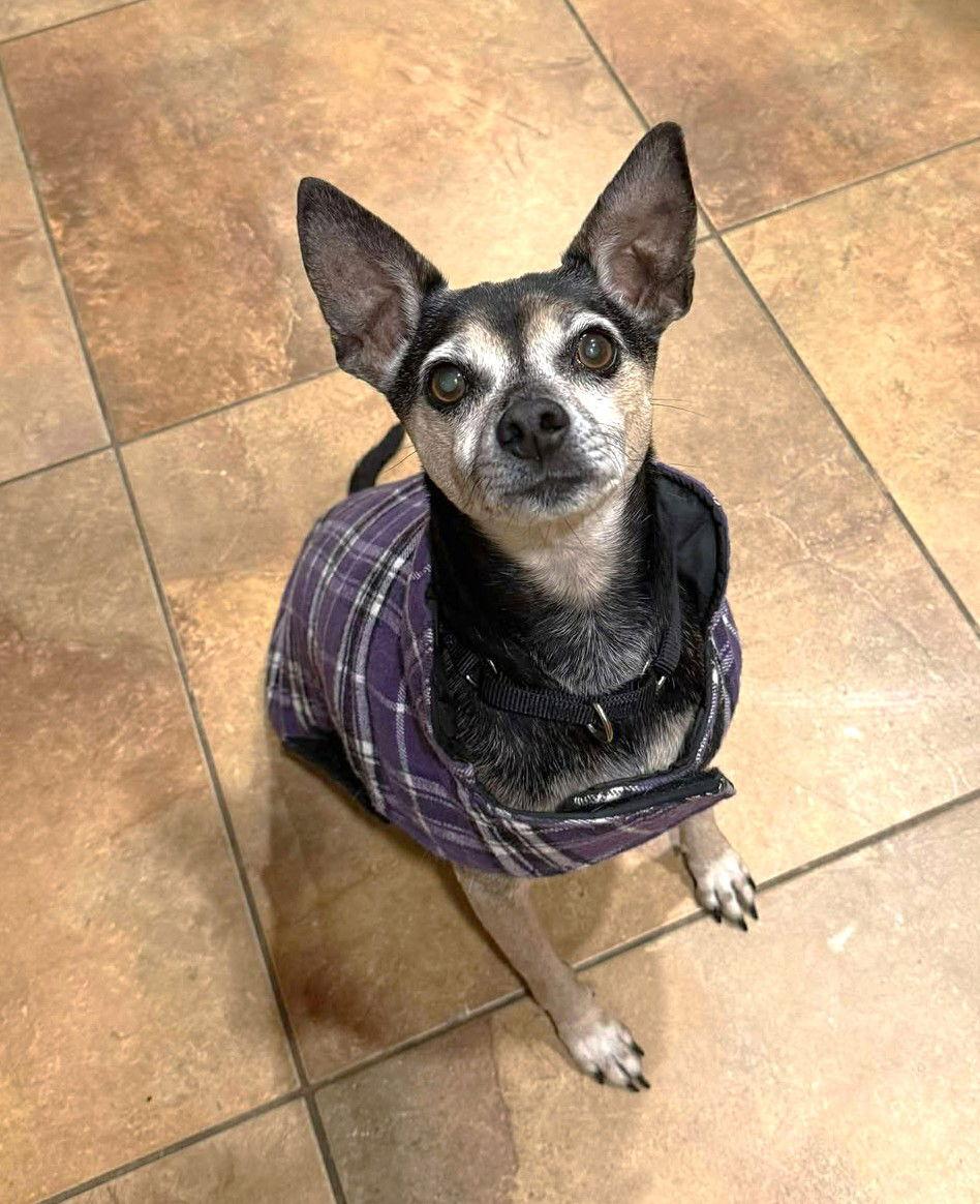 Flint Tx thumbnail 2