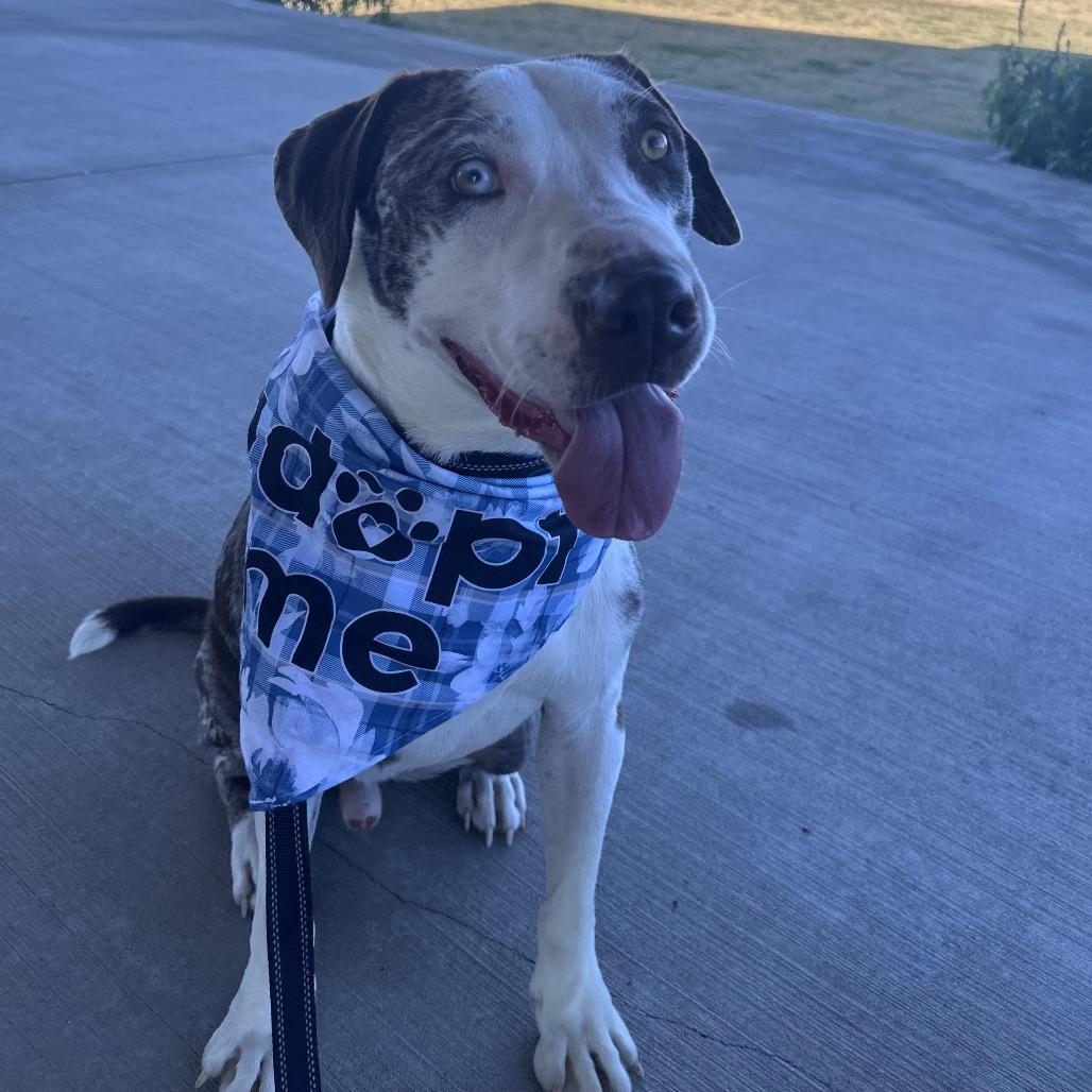 Pistachio — thumbnail 2