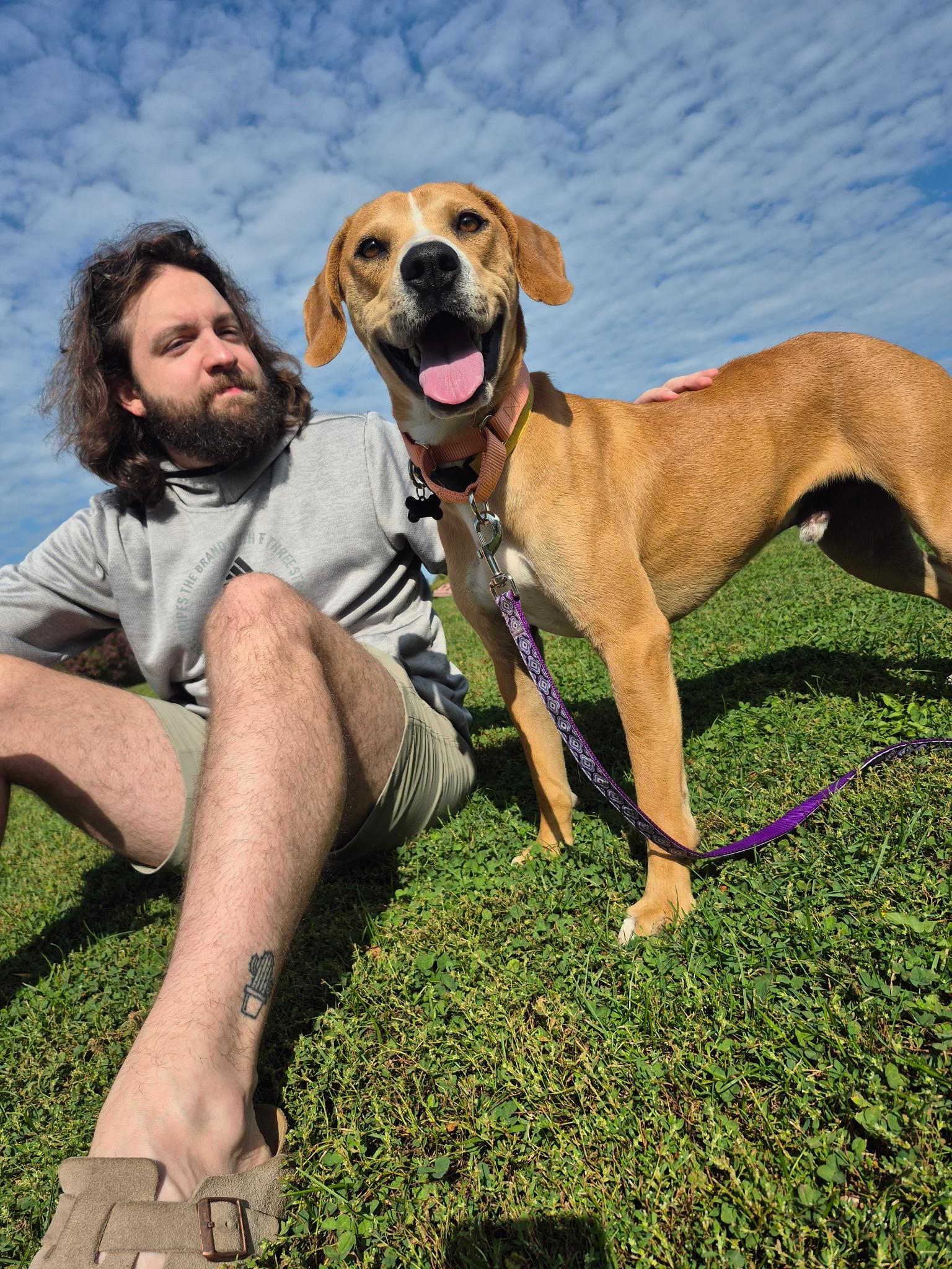 Enlarge Eggroll, a ADOPTABLE mixed breed in Oswego, IL image 4/5