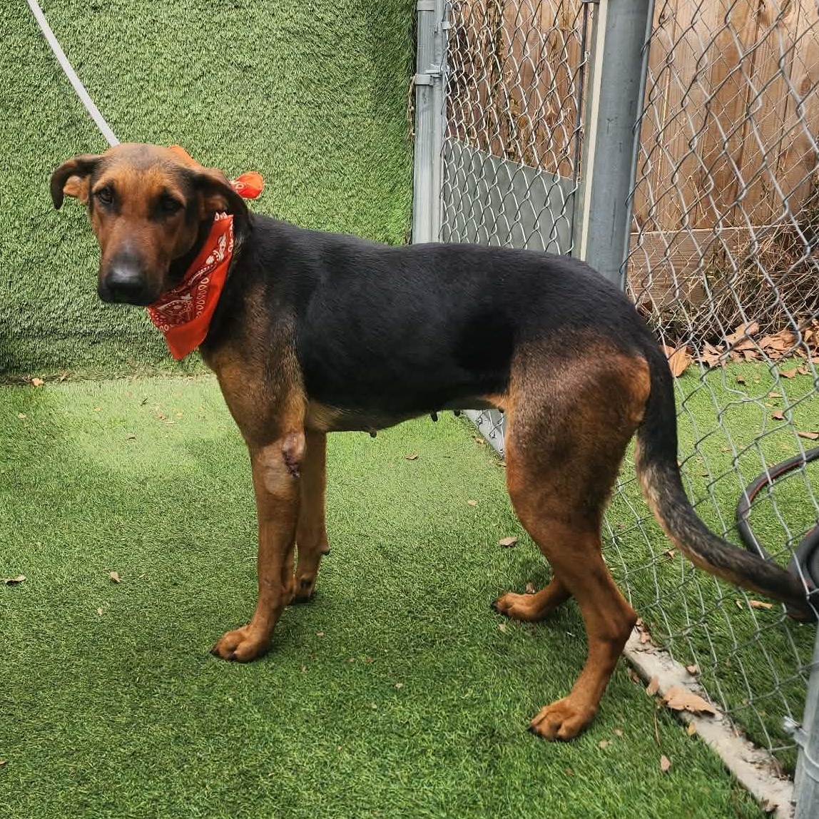 Star — thumbnail 5