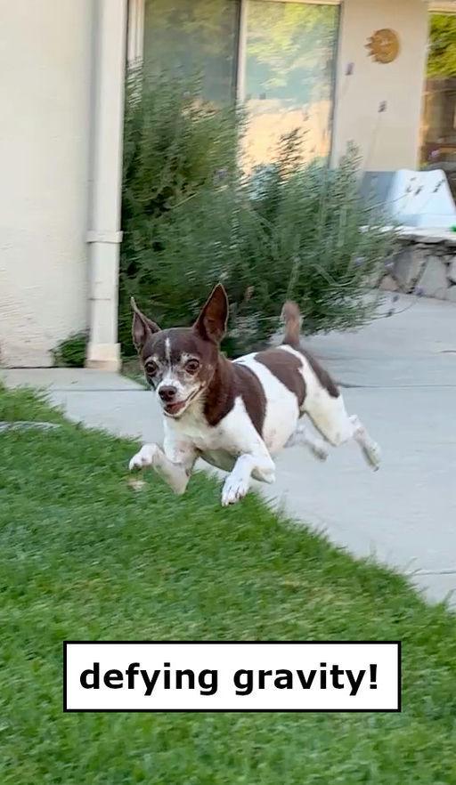 Gimlet photo 4