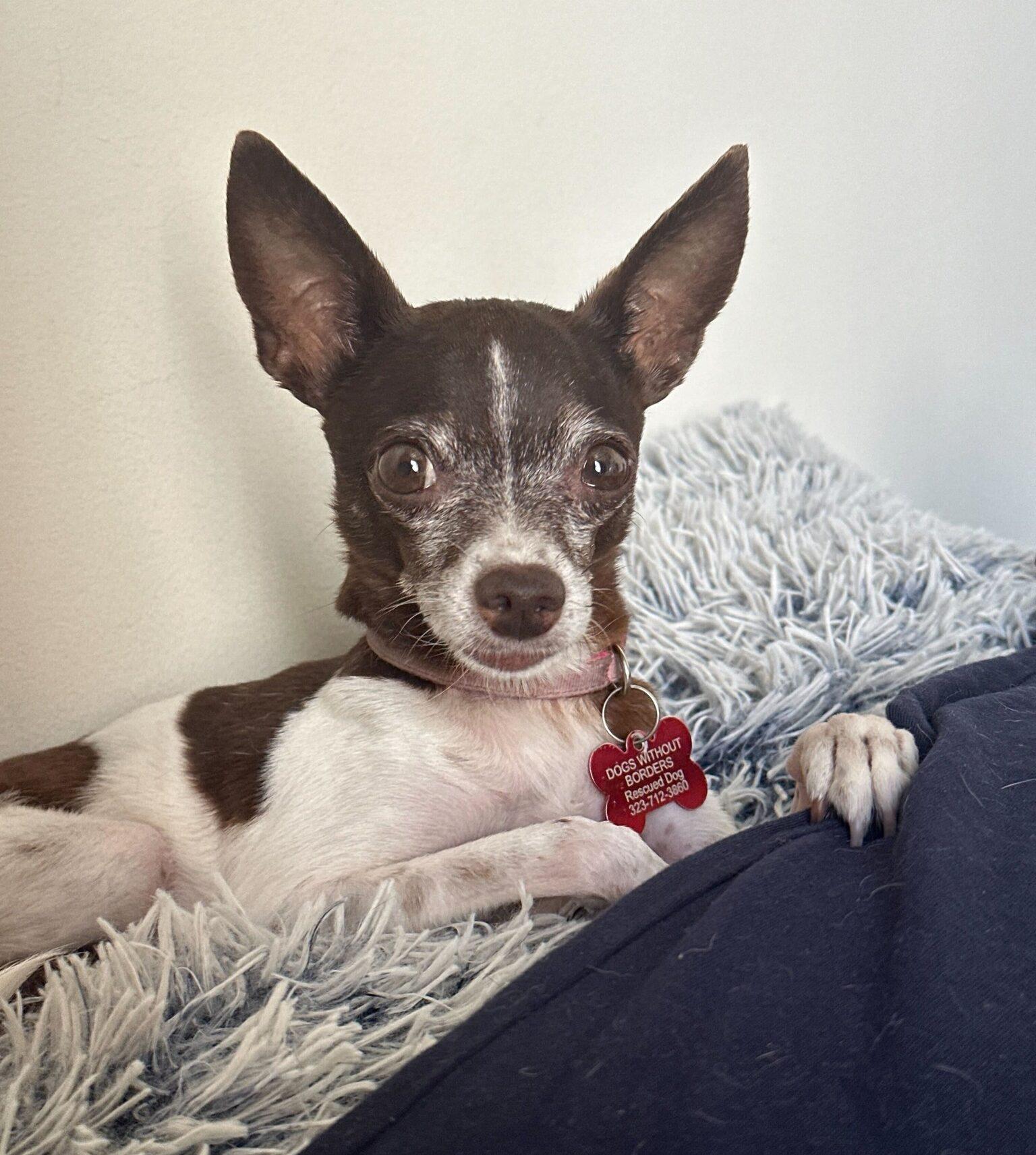 Gimlet photo 5
