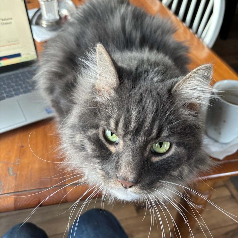 Hagrid — thumbnail 3