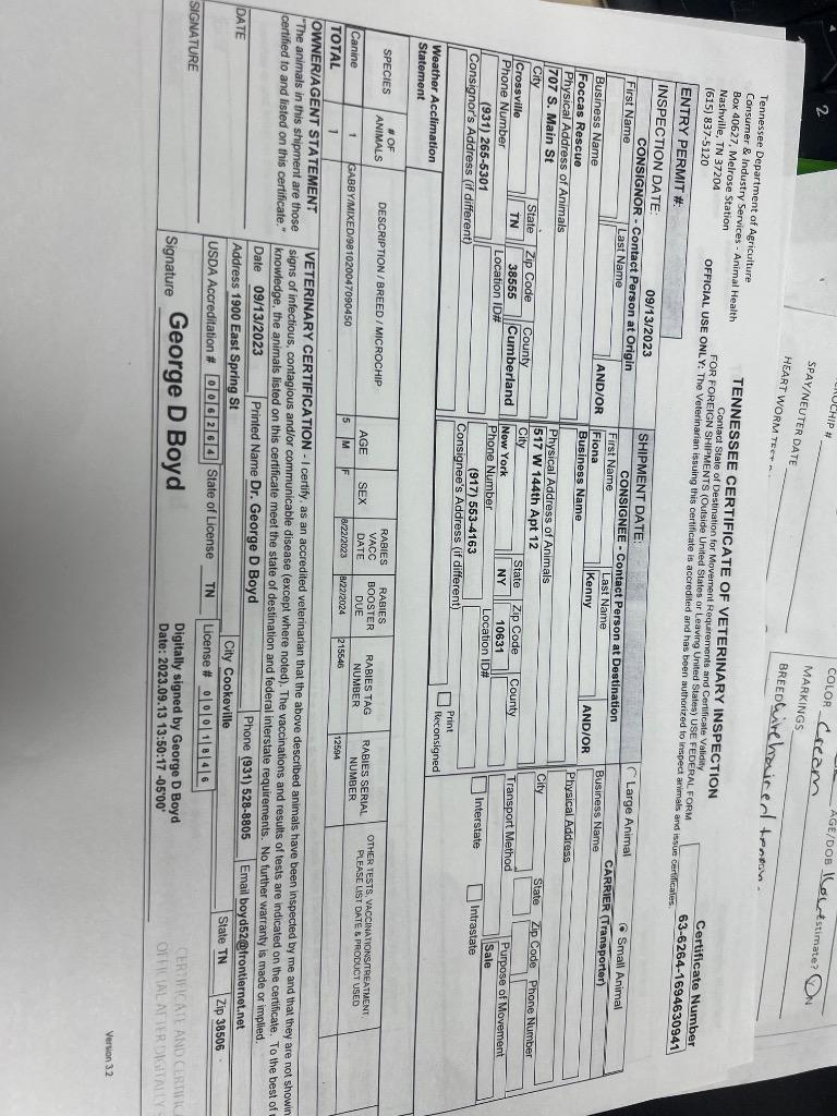 GABBY, a Adoptable mixed breed in Crossville, TN image 1/6