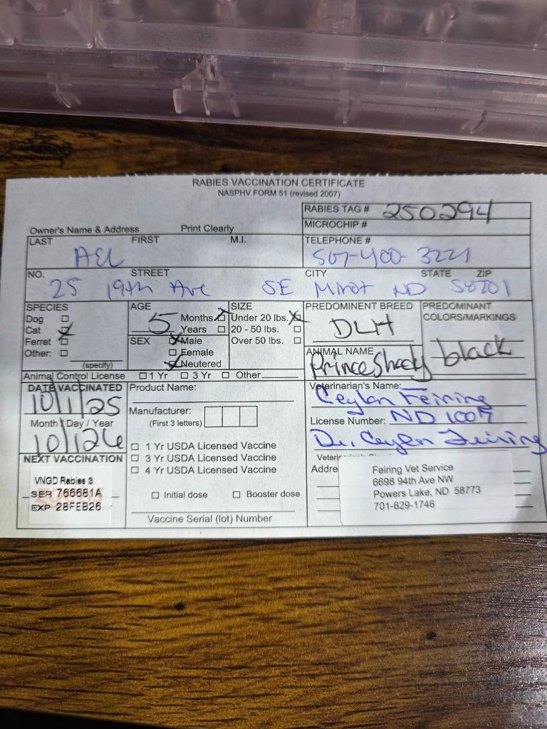 Prince Shady, a Adoptable mixed breed in Minot, ND image 6/6