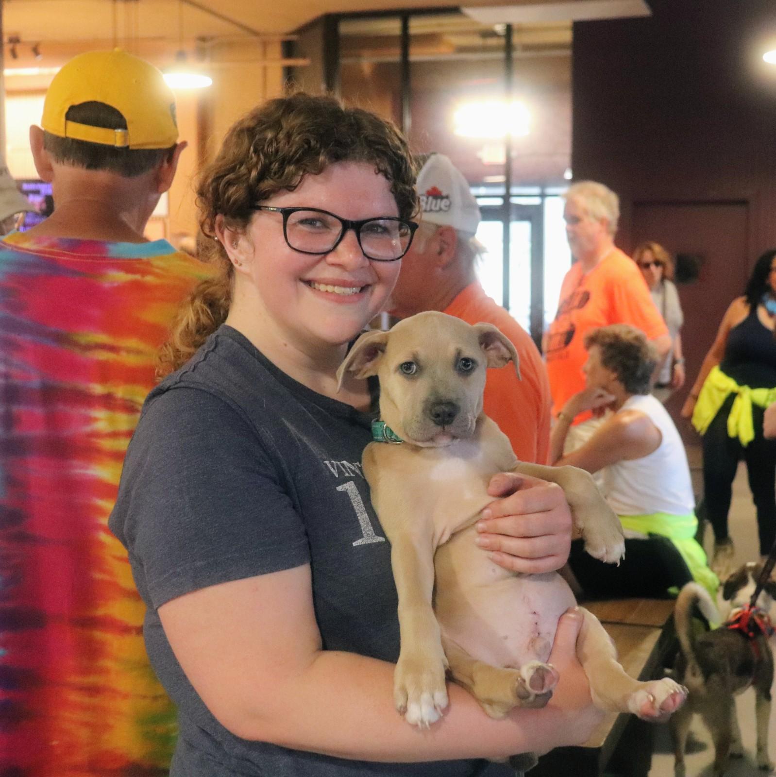 Biscuit & Gravy, an adopted mixed breed in Buffalo, NY image 5/6